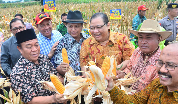 Kerja Fokus Hasil Nyata, Komisi IV DPR Apresiasi Kinerja Amran Sulaiman